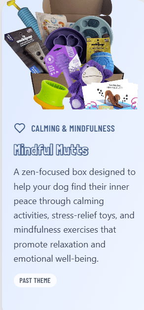 Enrichment Box