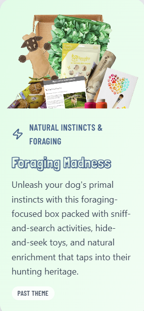 Canine Enrichment Box