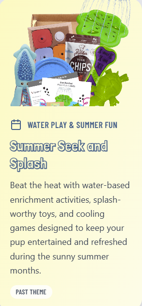 Summer Seek & Splash Box Canine Enrichment Box
