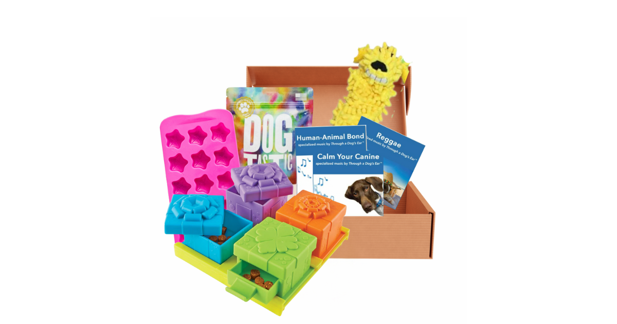 Unboxing the Canine Brain Games Dog Subscription Box