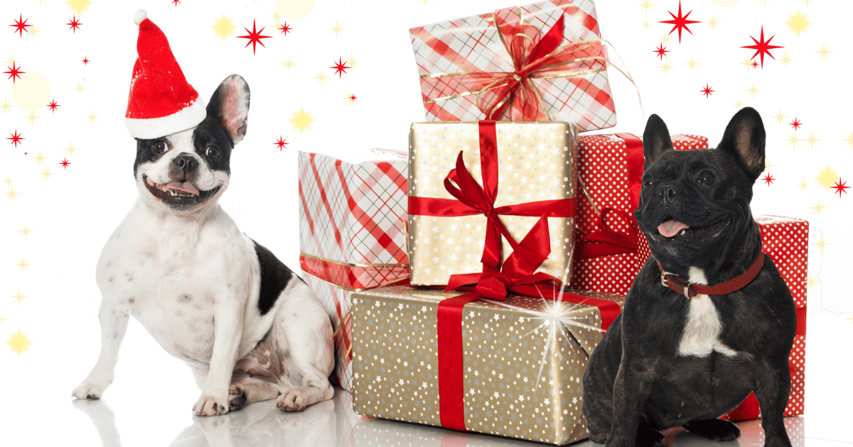 Top Dog Enrichment Ideas for a Fun-Filled Toys This Holiday Season