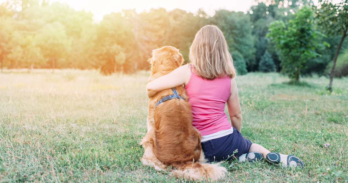 Understanding Canine Socialization: More Than Just Making Friends