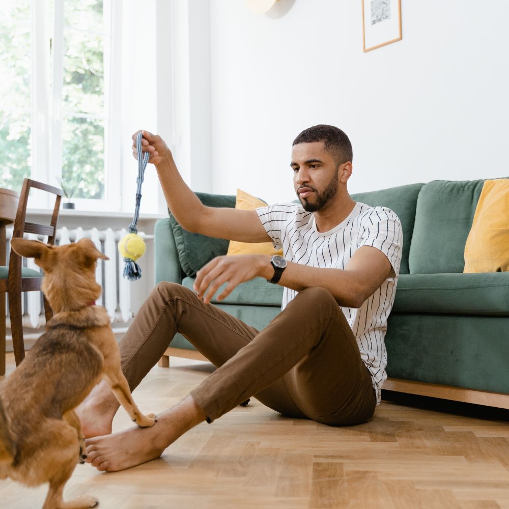 The Power of Choice: The Overlooked Reinforcer in Canine Enrichment