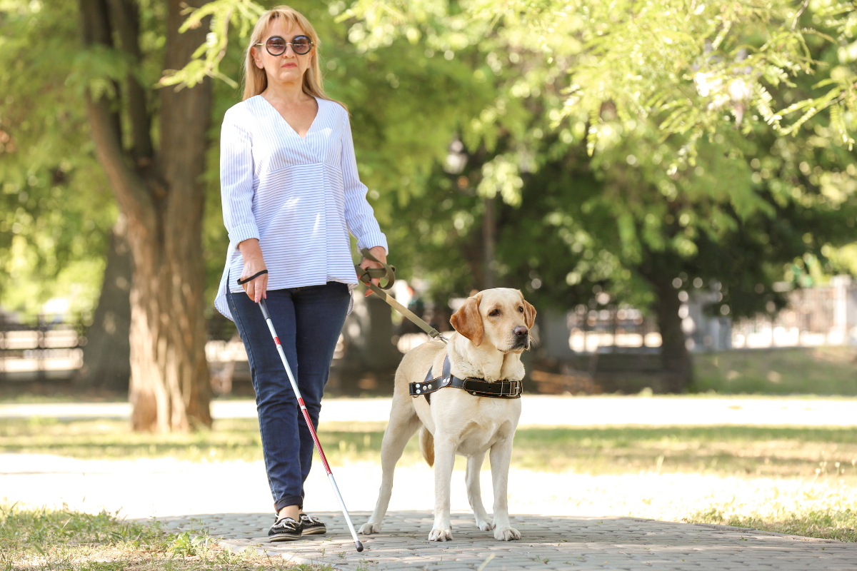 Working Dogs and Their Nose: The Unbelievable Power of Canine Olfaction