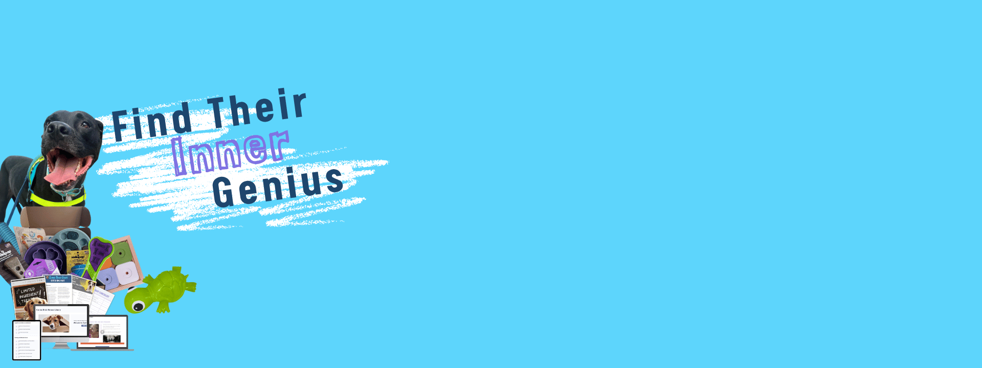 r2116-copy-of-website-page-banners-25-17526617290851.png