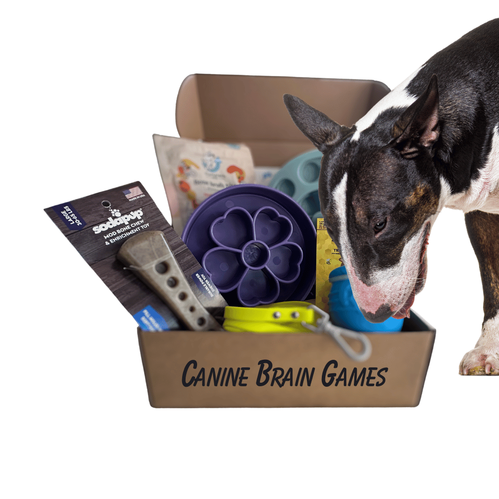 Dog Scent Training Scent Work Dog Training Kit Nosework Search