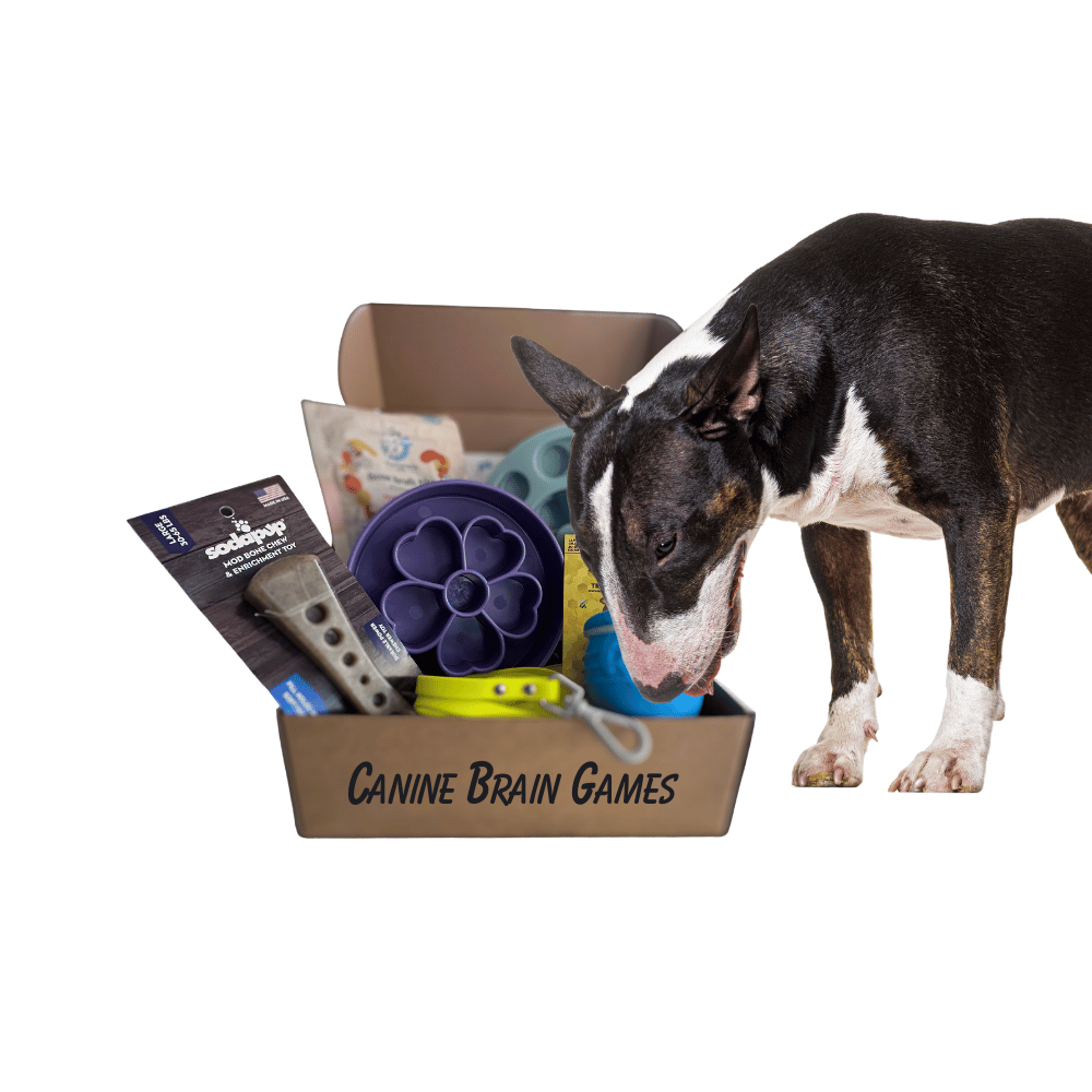r2121-square-facebook-ad-17346567072929.png