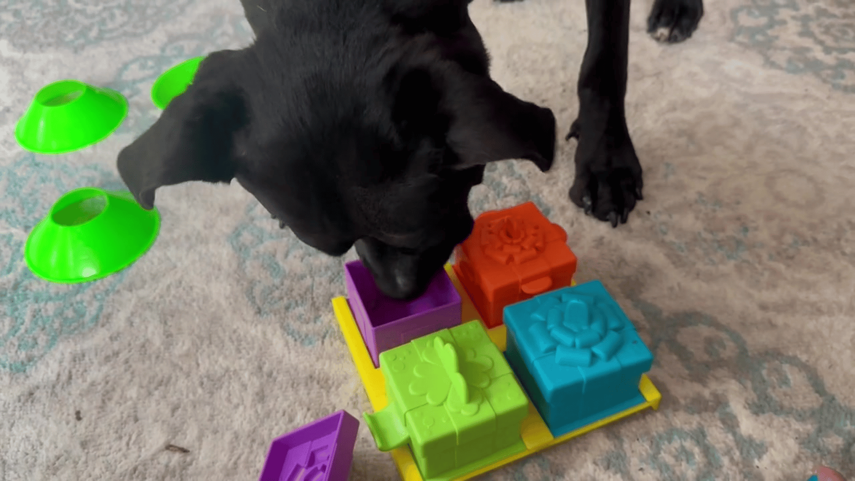 r2227-youtube-video-2-17585746347625.png