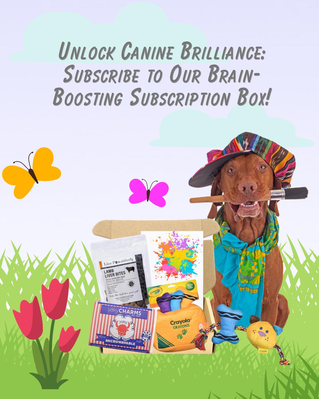 r836-unlock-canine-brilliance-subscribe-to-our-brain-boosting-subscription-box-17106845052671.png