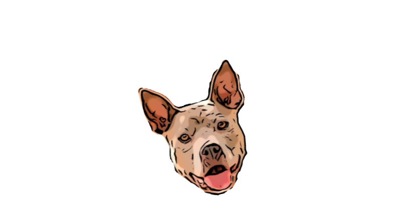 K9 Brain Games