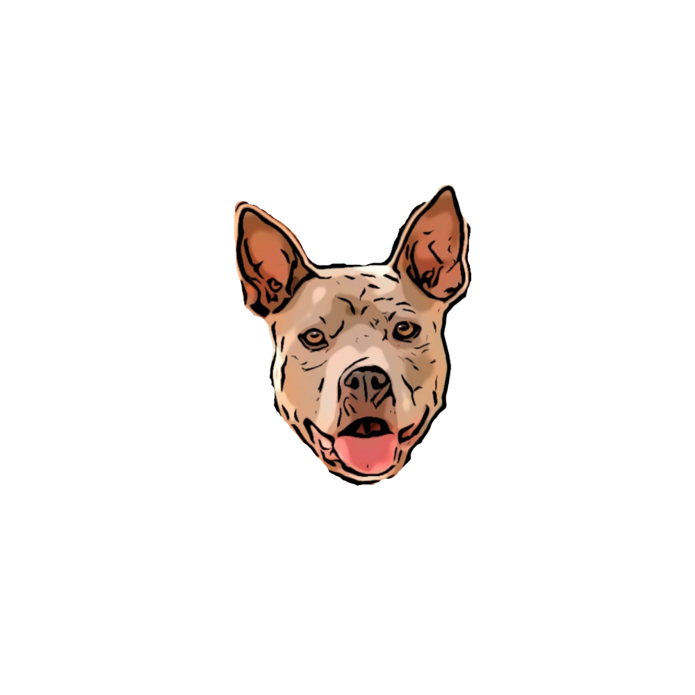 K9 Brain Games