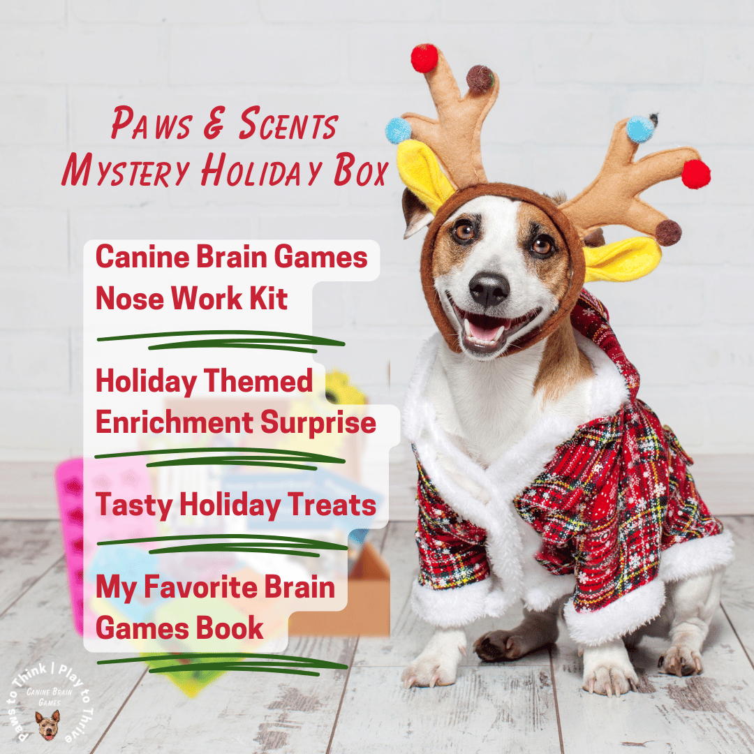 Canine Brain Games Mystery Box