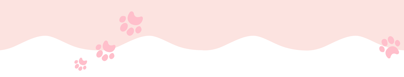 1055-what’s-inside-the-box-5-17414048844356.png