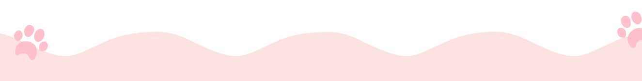 20813251671019-untitled-design-31-17414046867753.png