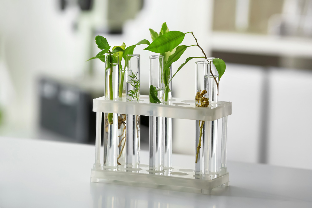 1084-test-tubes-with-plants-table-against-blurred-16981683961908.jpg