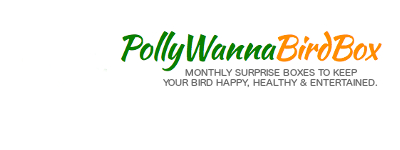 Polly Wanna Bird Box