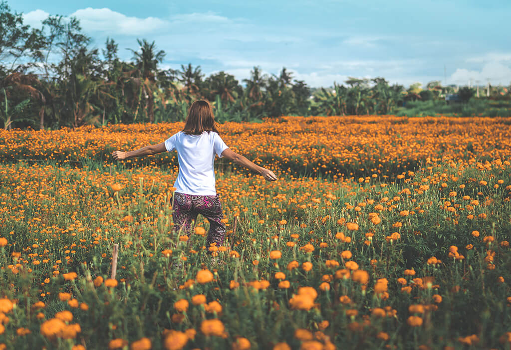 How Meltdown has Changed Lives