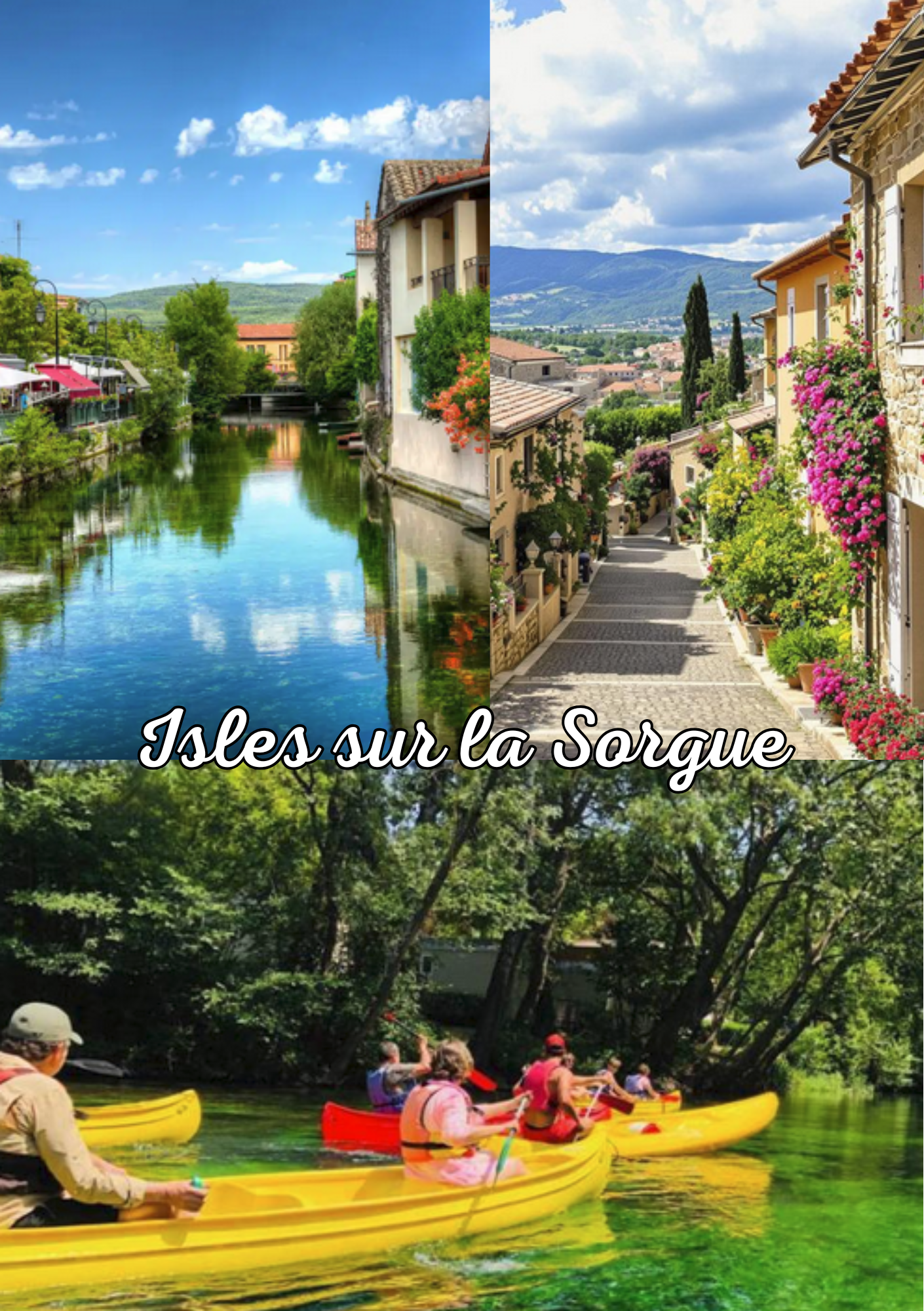 551-plongee-dans-les-champs-de-lavande1-17470880953496.png
