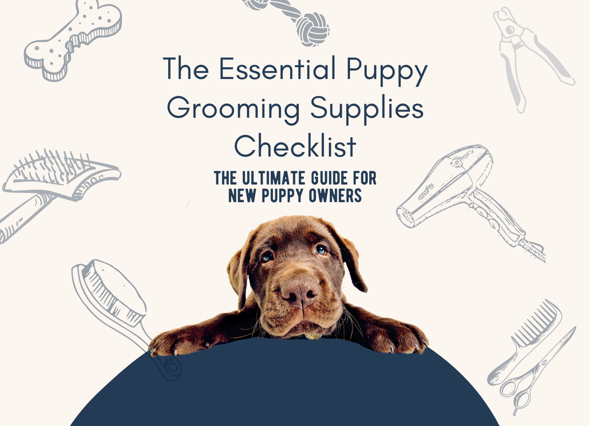 014120086844-website-images-the-ultimate-guide-for-new-puppy-owners-4-x-3-in-17165042157705.png