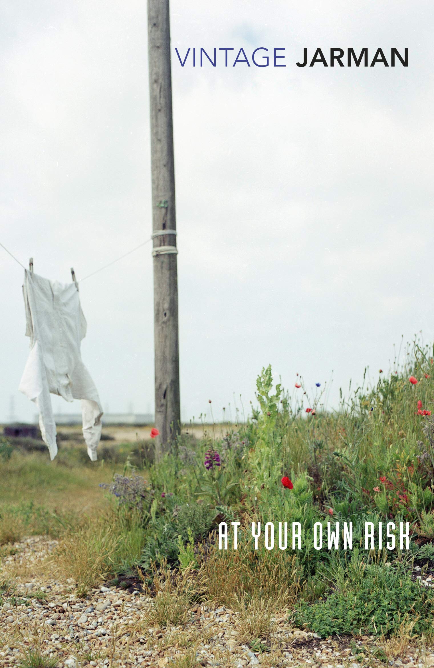 Book cover of At Your Own Risk by Derek Jarman