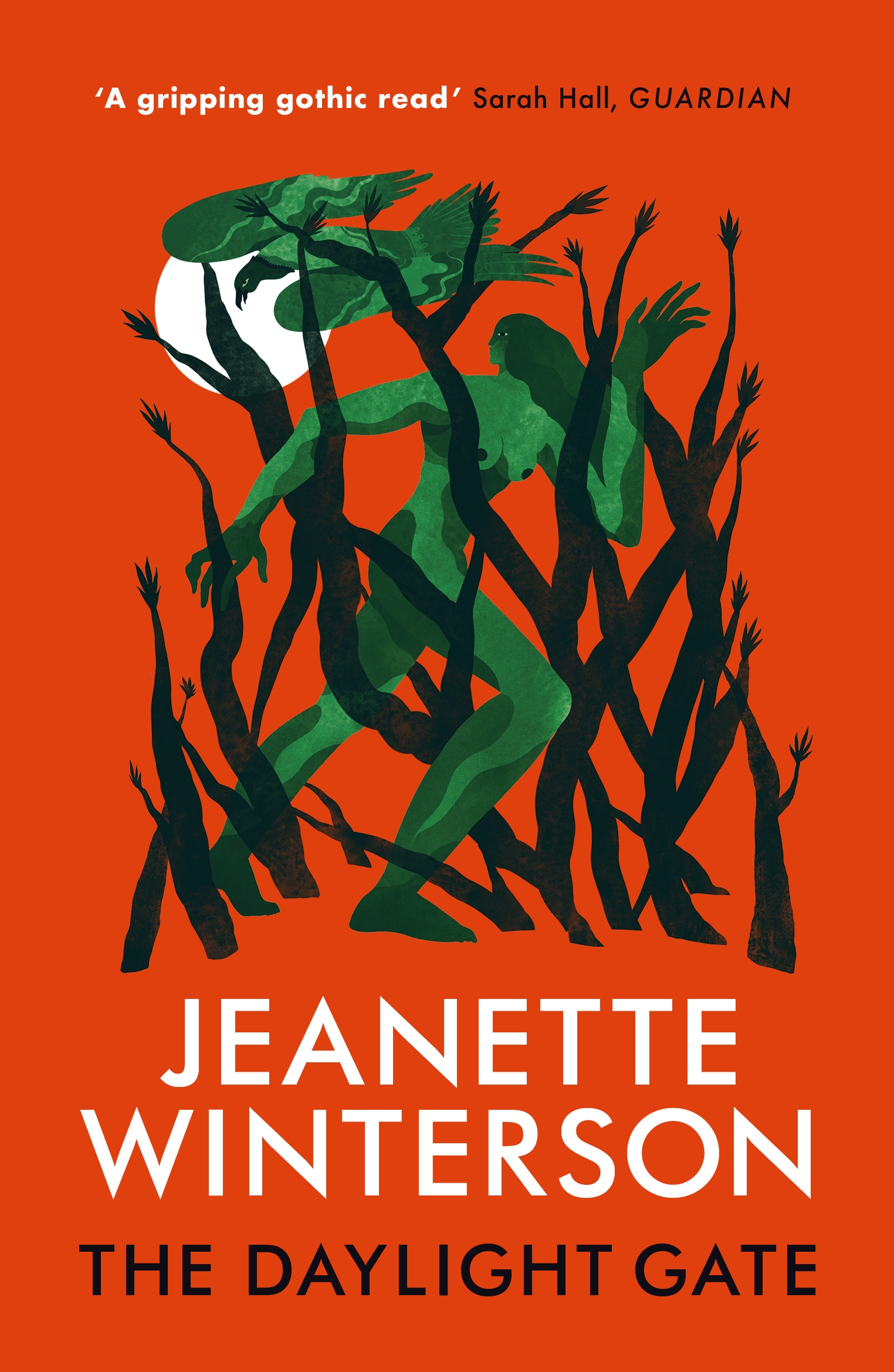 Cover of The Daylight Gate by Jeanette Winterson