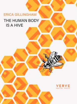 The cover of THe Human Body is a Hive. Orange and yellow honeycomb on a white background with a bee in the centre.