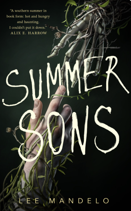 Cover of Summer Sons