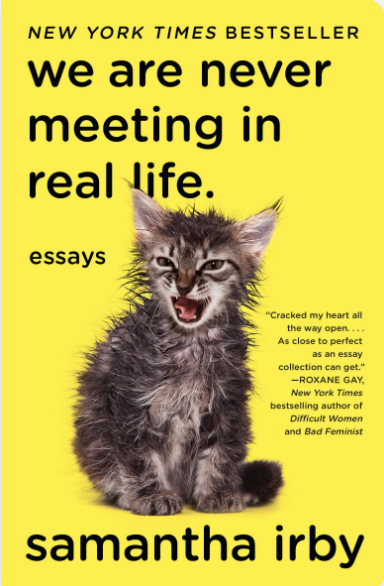 Cover of We Are Never Meeting in Real Life. On a bright yellow background a small, unkempt kitten meows.