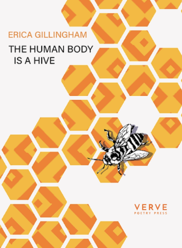 Cover of The Human Body is a Hive. Illustration of a bee on yellow and orange honeycomb.