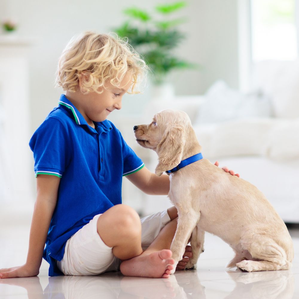 310-kidwdog-16946453016542.jpg
