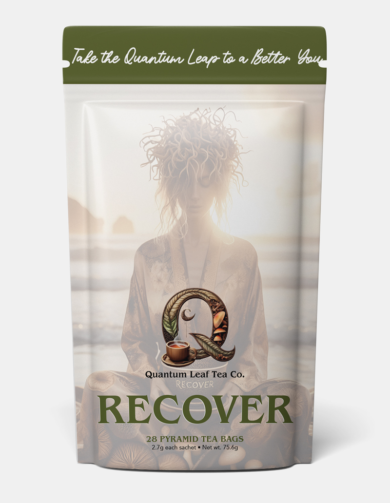 724-qlt-recover-pouch-proof-v2-front-17281521705469.jpg