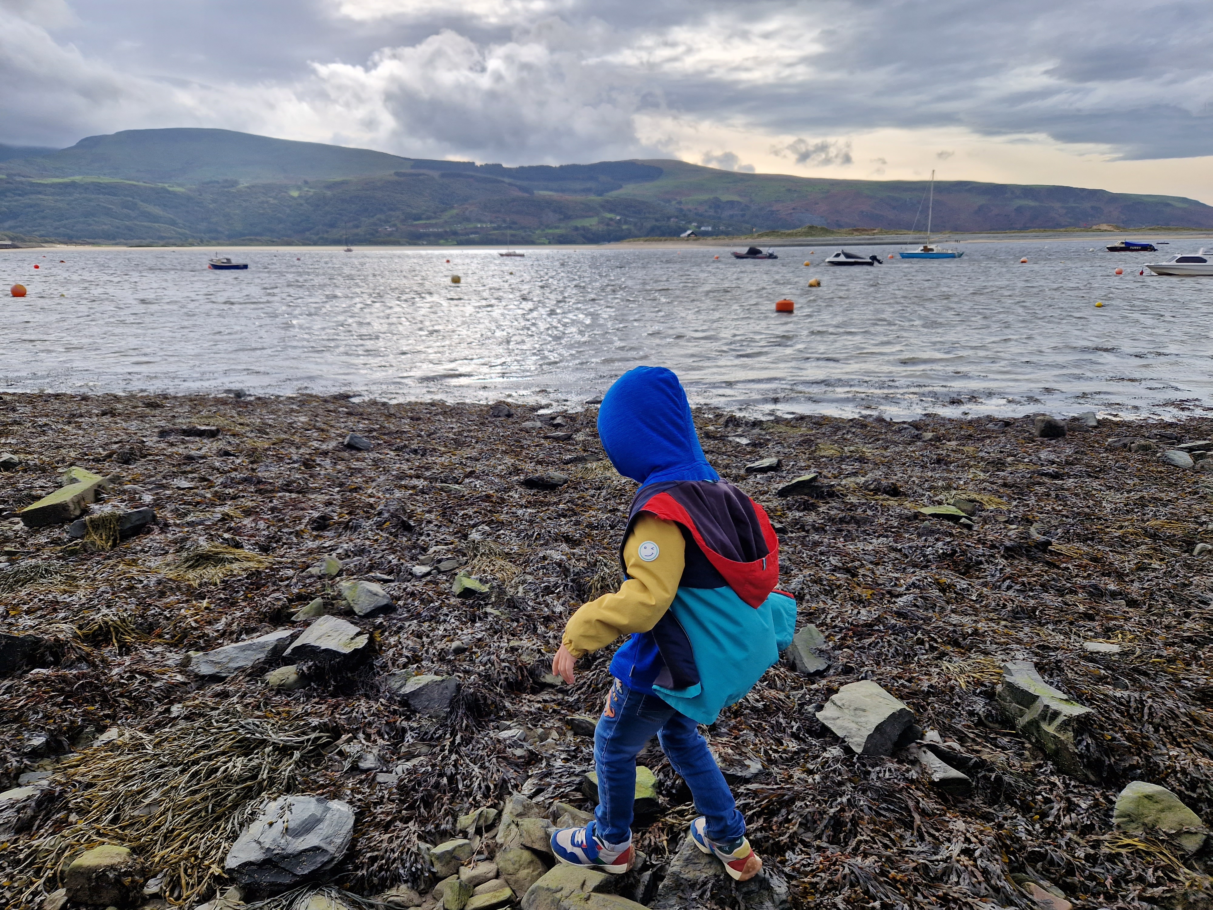 exploring the beach