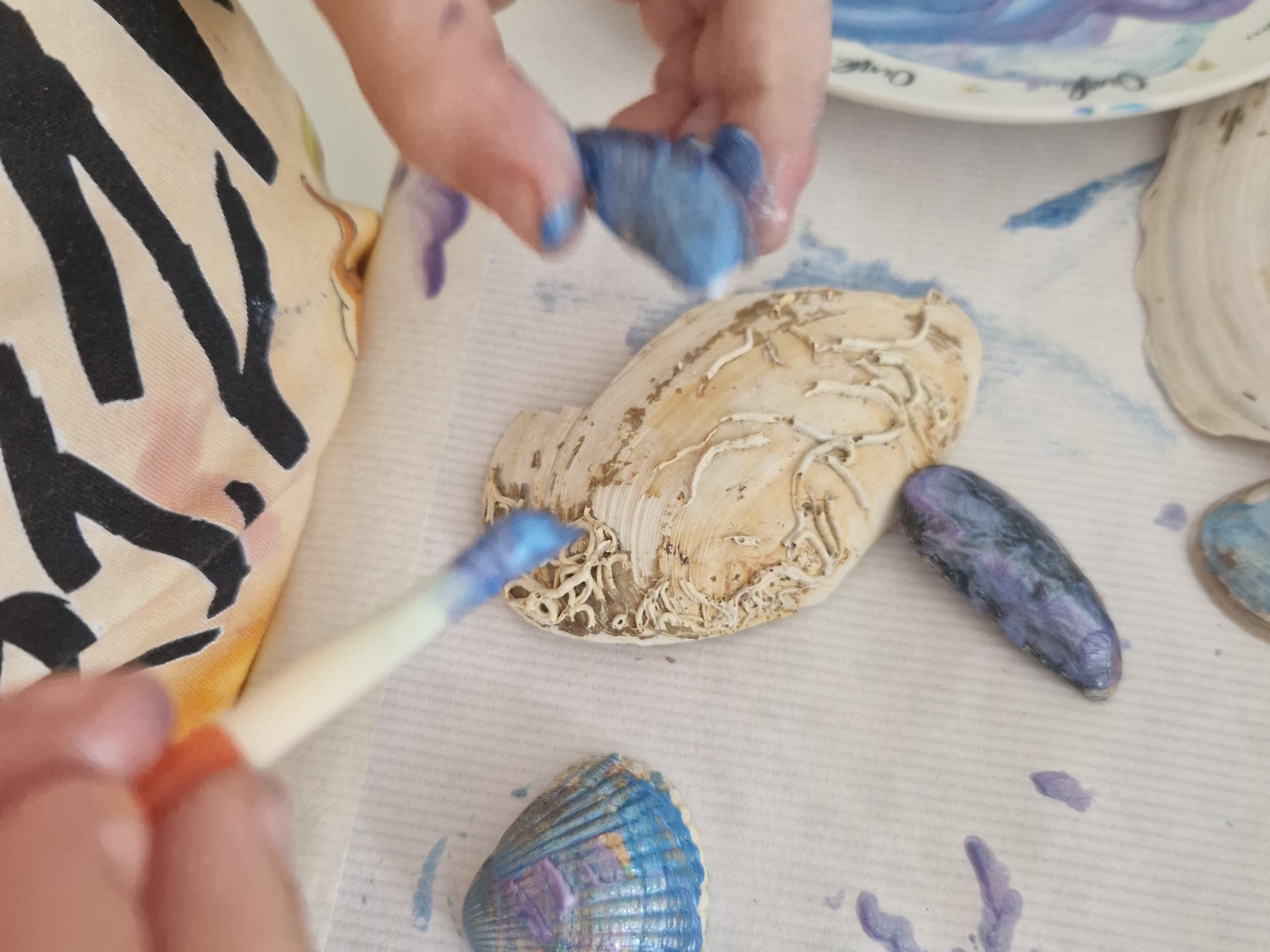 paint your shells