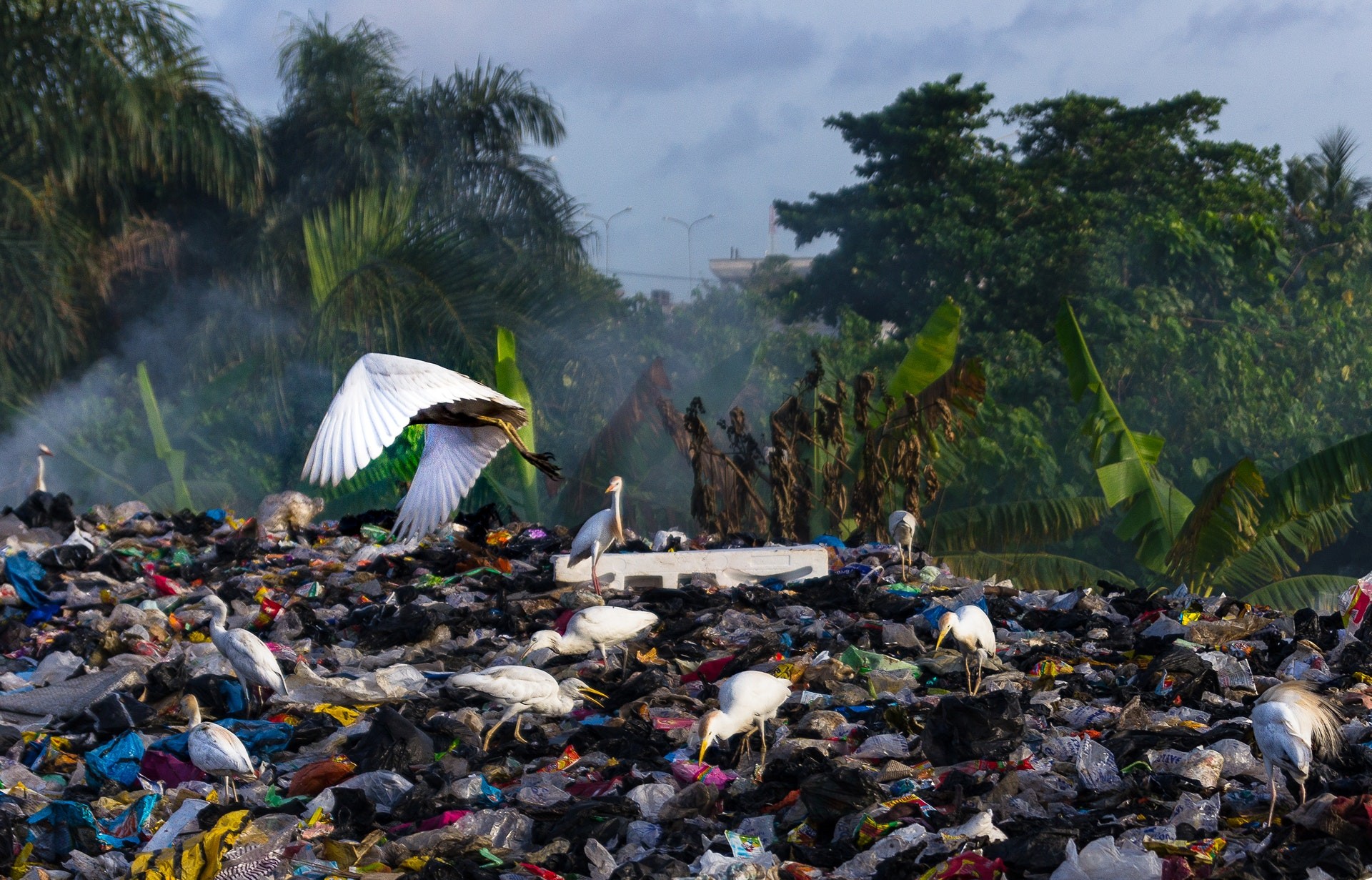 Effects of NOT Recycling