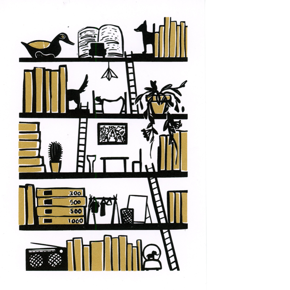 212-february-20265x-17846866129163.png