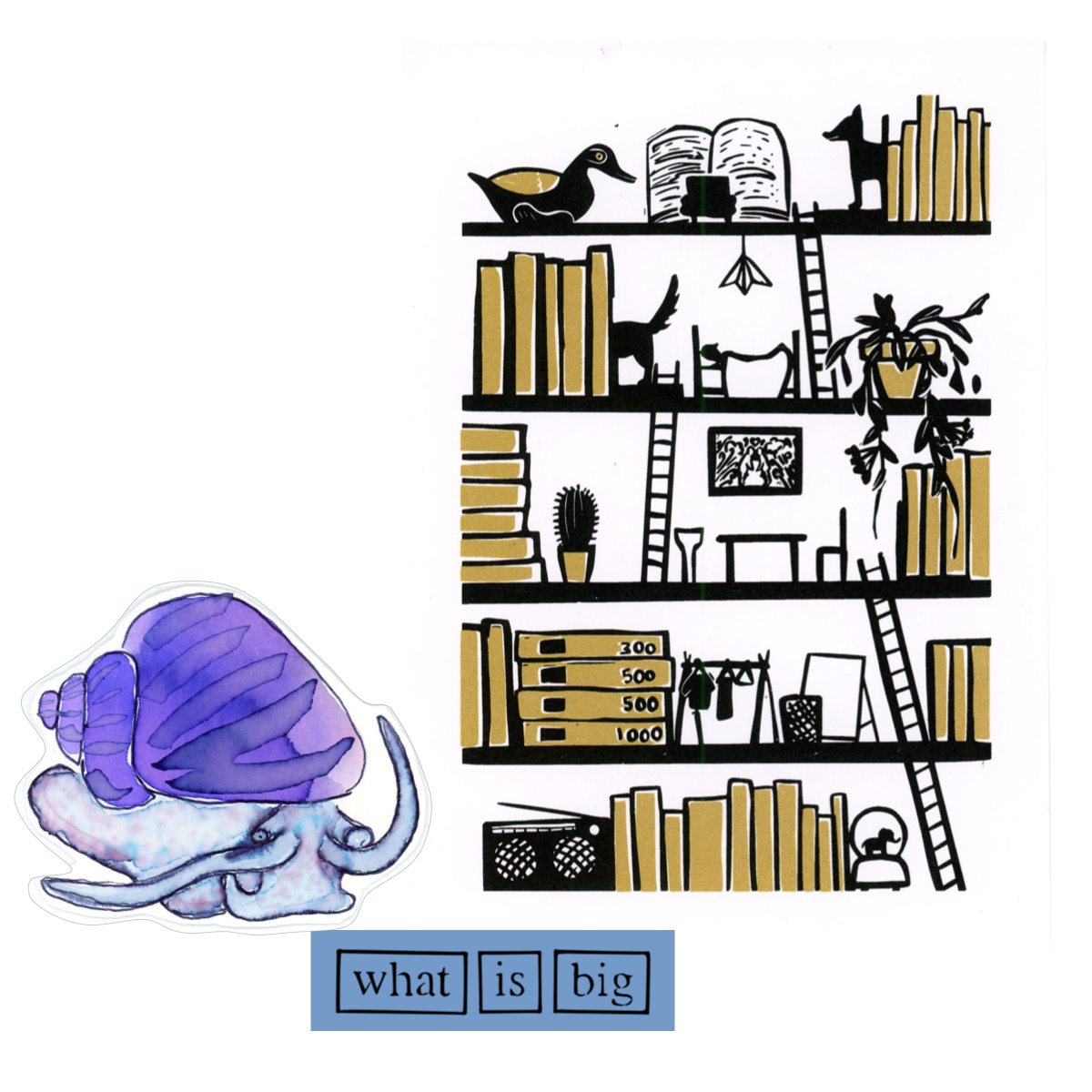 212-february-20265x-17856409209326.png