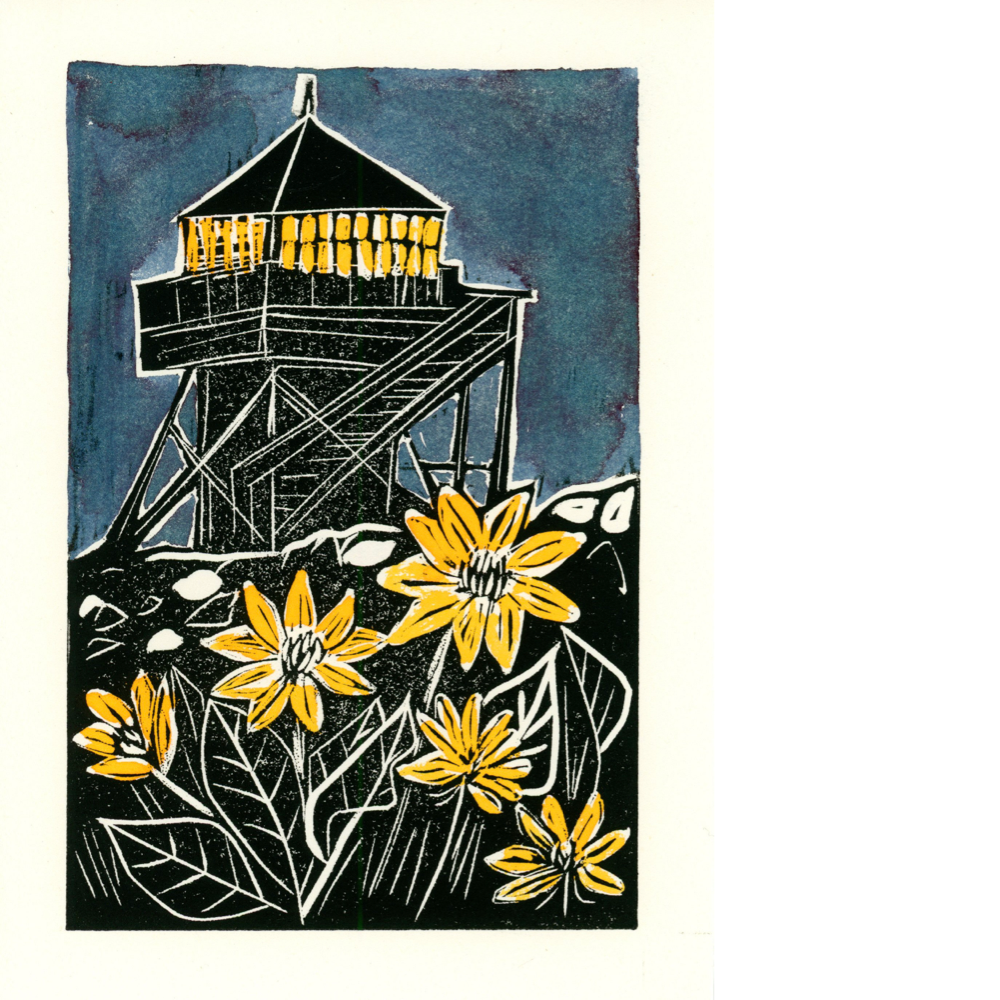 212-may-20265x-17846866129328.png
