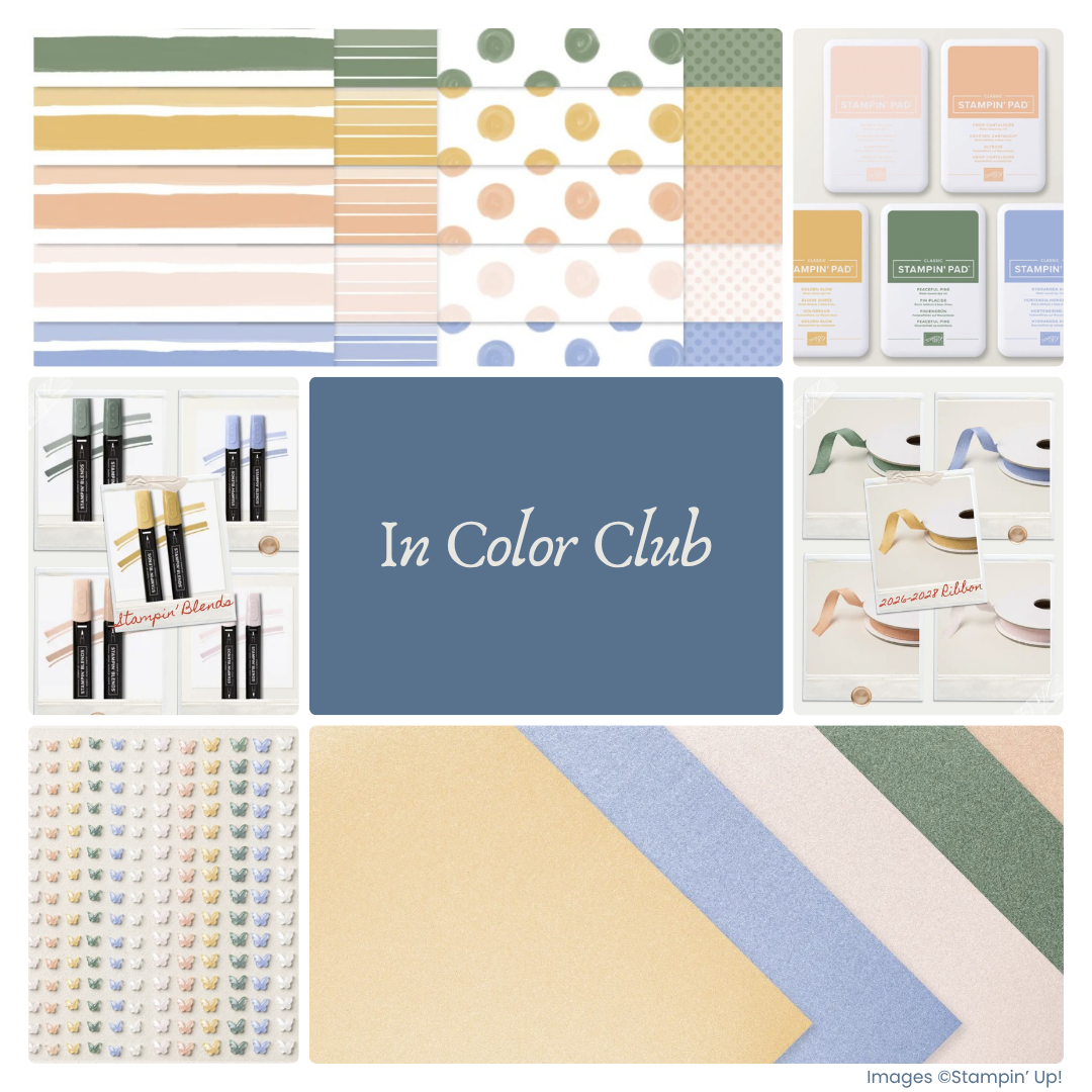 673-in-color-club-collage-17758109828081.png