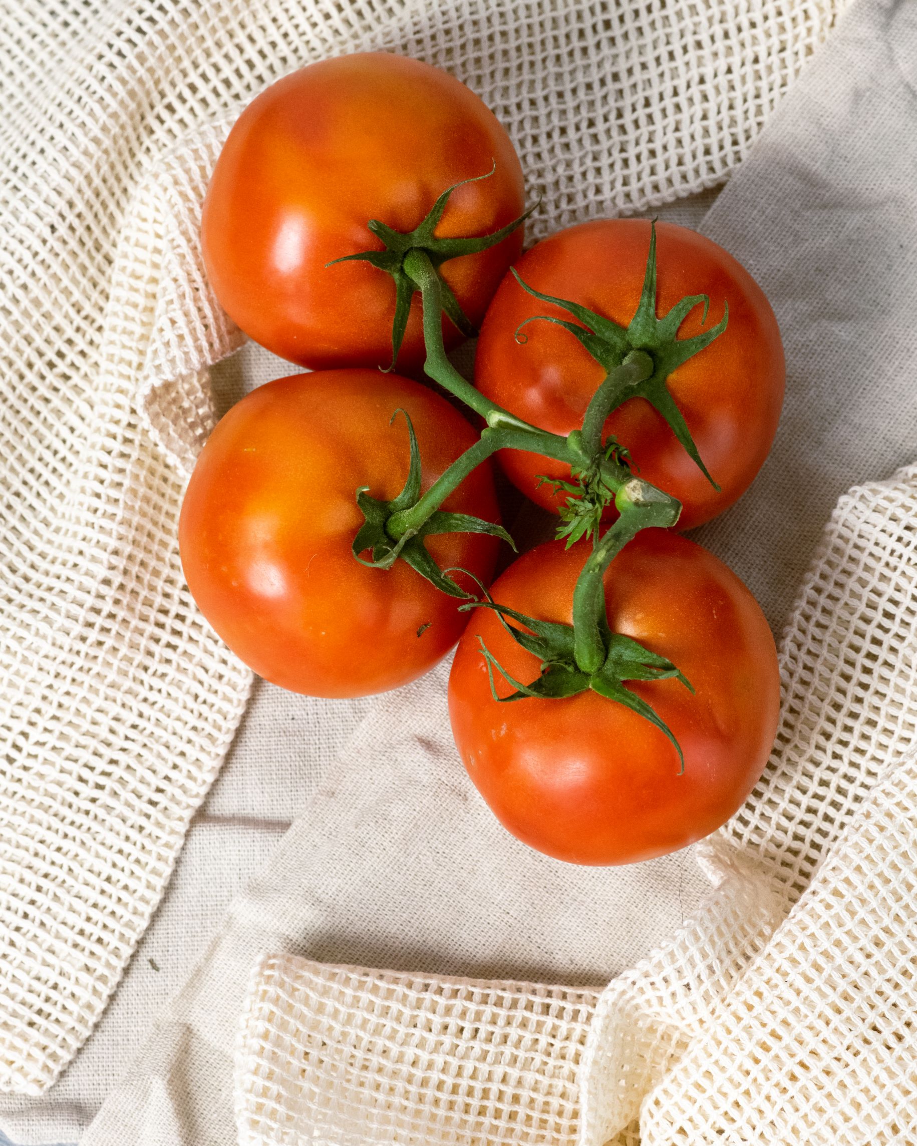 742-tomatoes-1641848459927.jpg