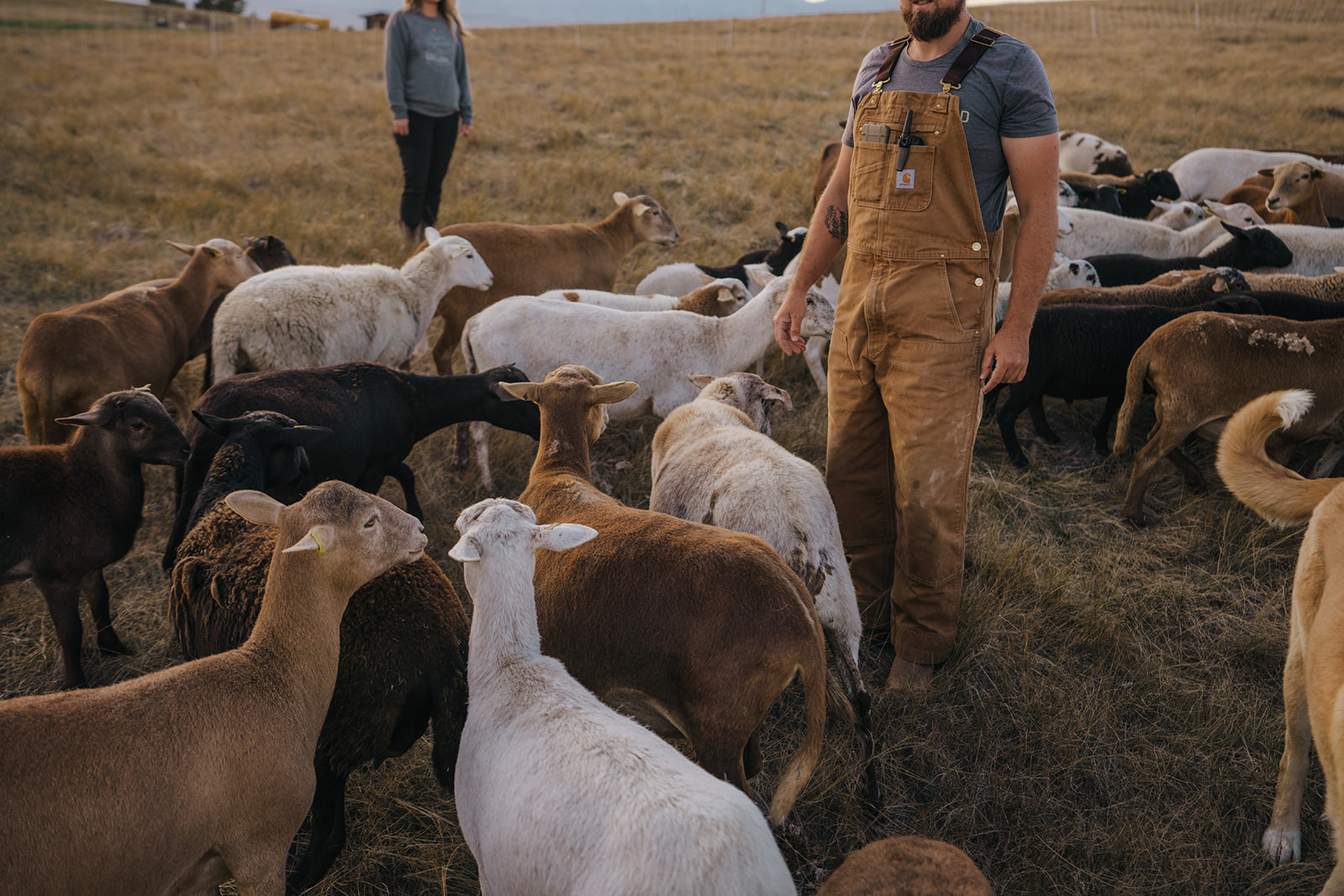 461-sage-shepherdranch-sneakpeek-0015websize.jpg
