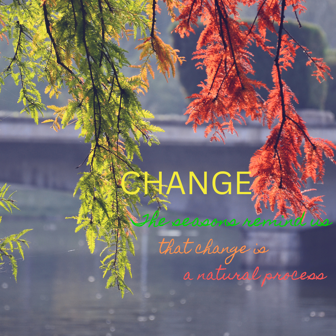 Autumn Lessons: Change, Release, and Harvest