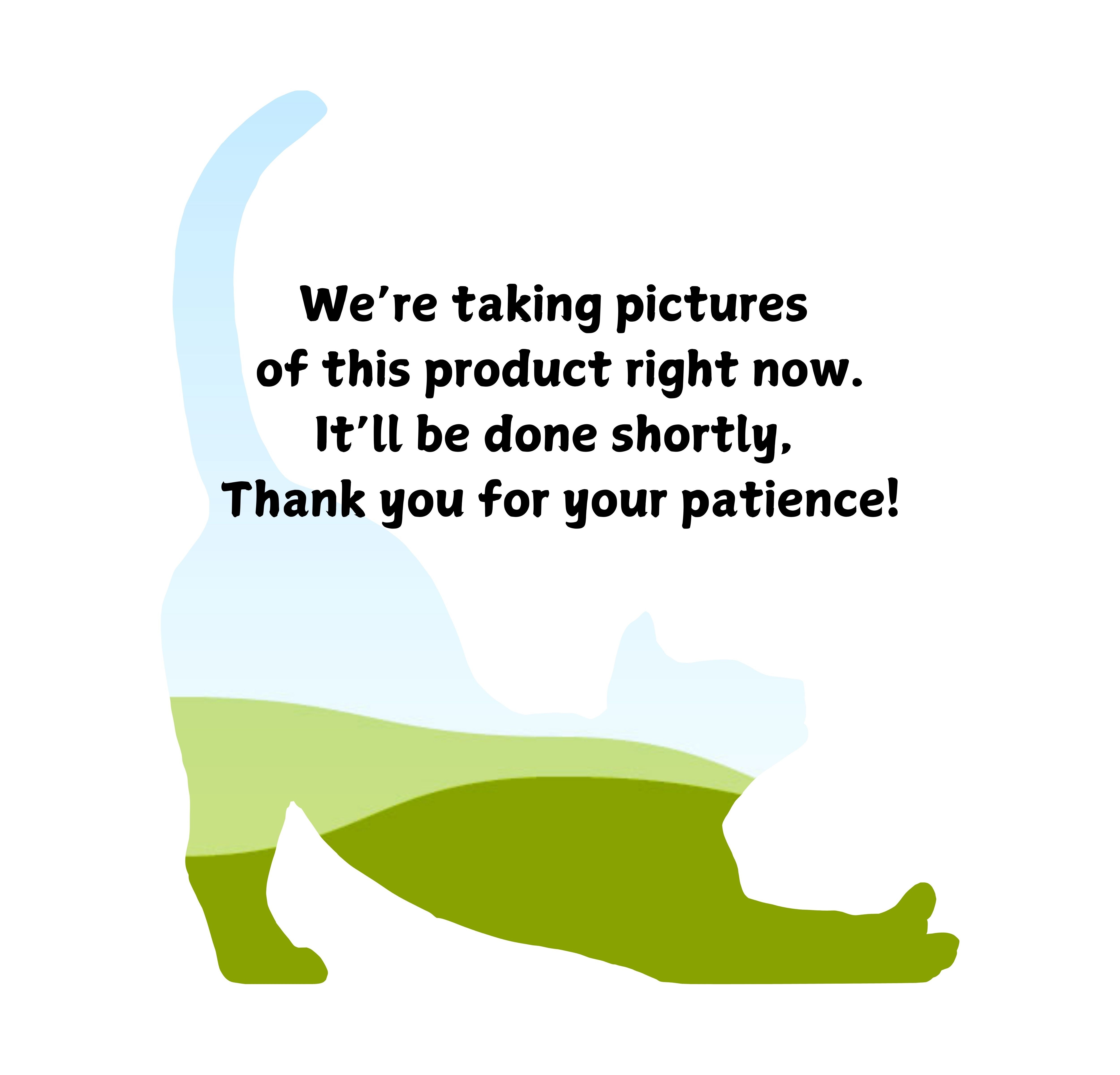 0100500048001297-were-taking-pics-right-now-1736385009315.jpg