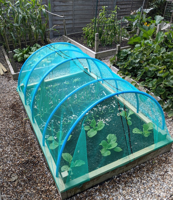 Easy DIY brassica cover