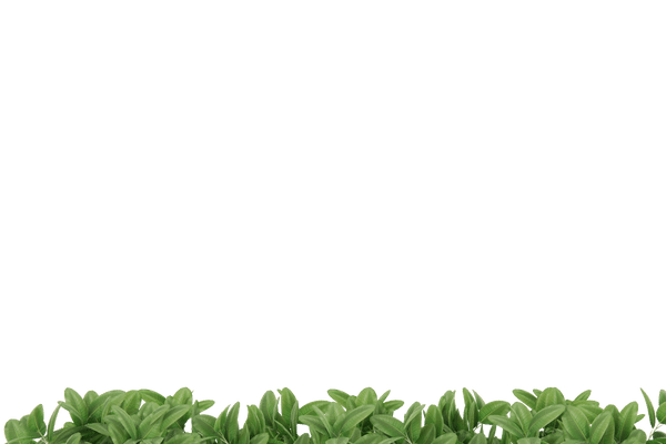 r161-2-17153411327472.png