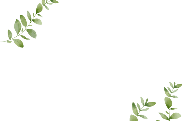 r170-3-17153411327493.png