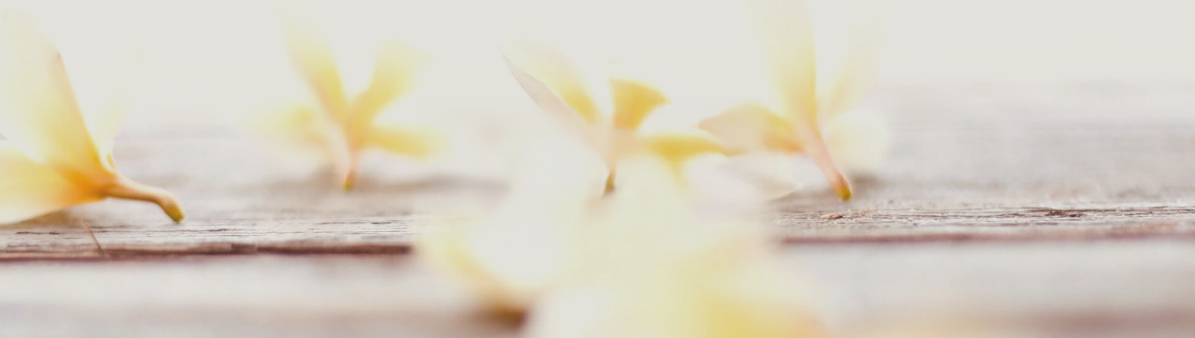 r297-banner01-17728216529724.jpg
