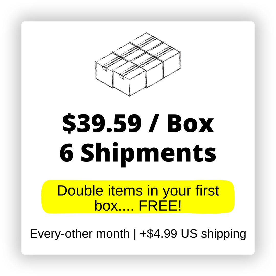 3553-monthly-project-plan-page-gift-plan-page-every-other-month-page-membership-plan-1746468195472.png