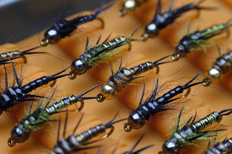 550-r500-stoneflies-16771035772016.png