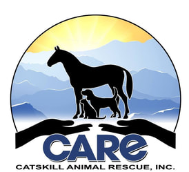 247-care-logo-16737681458083.jpg