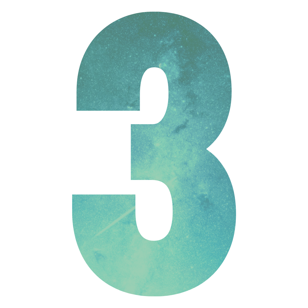 322-untitled-design-16.png
